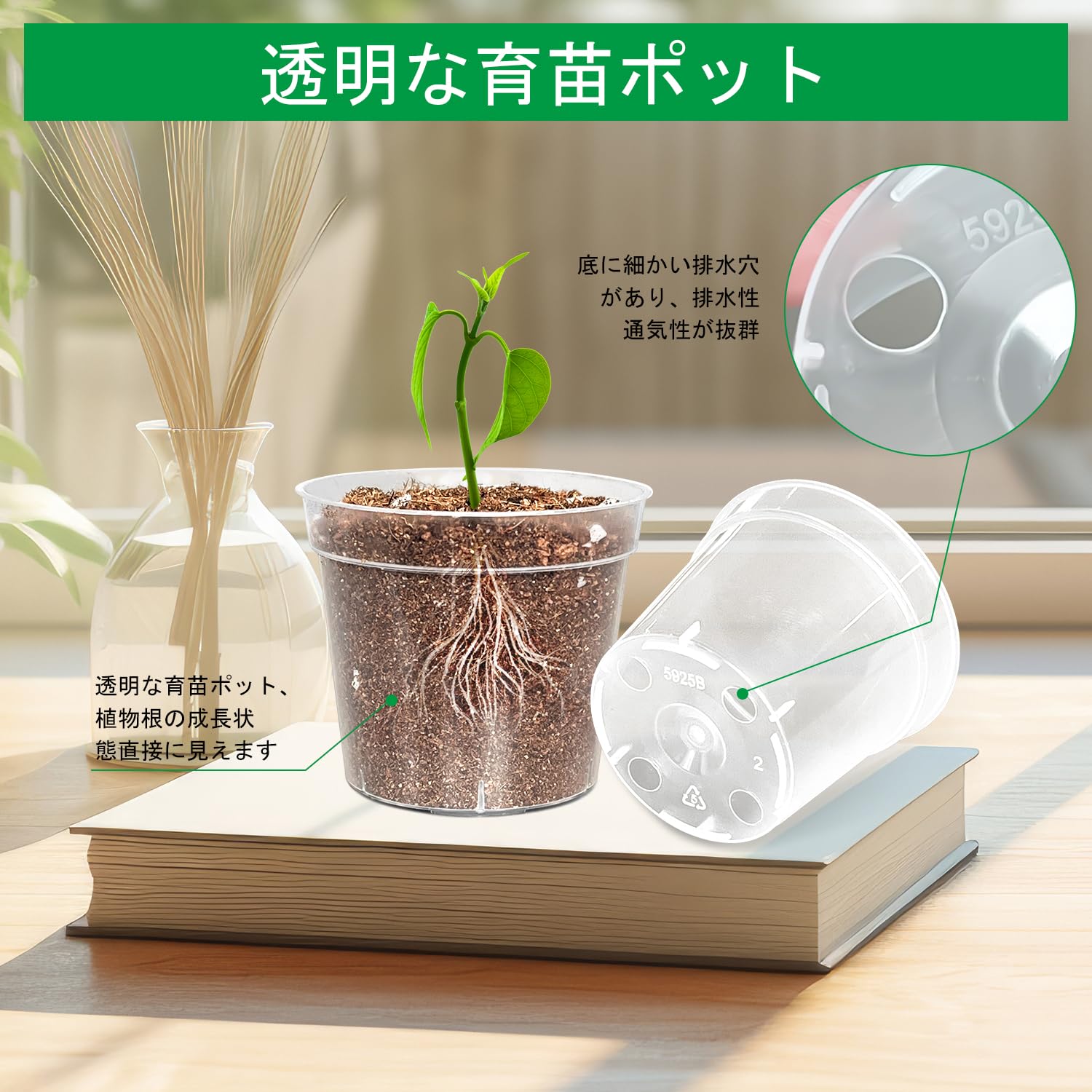 Amazon.co.jp: 透明植物鉢 2号 30個セット おしゃれ育苗ポット Amazon.co.jp: 透明植物鉢 2号 30個セット おしゃれ育苗ポット